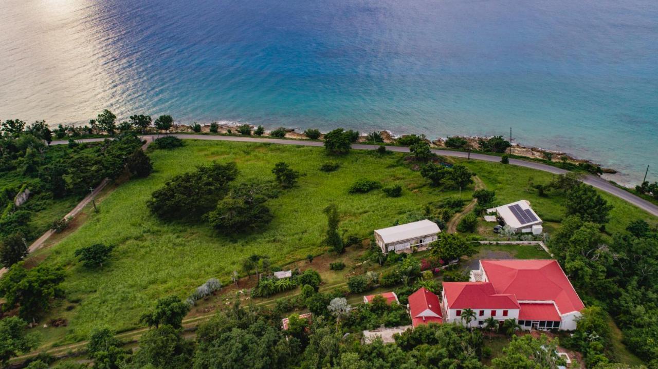 Feather Leaf Inn Frederiksted Экстерьер фото