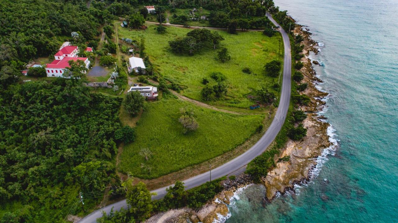 Feather Leaf Inn Frederiksted Экстерьер фото